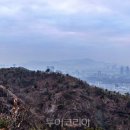 피카디리여관 네이버블로그
