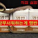 백반(명반)이 뱀퇴치에 최고다, 이미지