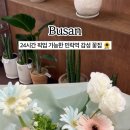 제이넵웨딩 | 신선도 디자인 목적에 맞는 부산 꽃집 제이넵플라워24시 선택 기준 팁
