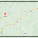 숲속의요정 분점 | 여름 가족여행 추천, 강원도 평창 숲속의 요정 펜션에서 힐링한 하루🍃