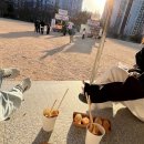 해월제 이미지
