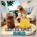 카페오아세 이미지