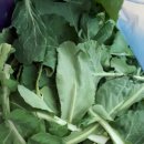 양지게이트볼장 이미지