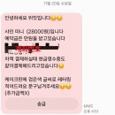 논현 디저트카페 위밋 홀케이크 미니 내돈내산 구매 후기