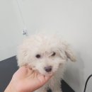 보리미용실 이미지