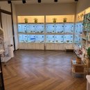 달펫 소동물샵 이미지