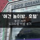 부산 강아지 24시 애견미용호텔유치원 도그드림(서면점) | 부산 서면 강아지 호텔 | 미용실, 놀이방도 가능한 24시간 운영되는 도그드림