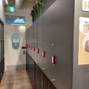 서울 강남 신논현역 피부과 스킨부스터 추천, 리쥬란 모델 후기 (주기/효과/통증/부작용/가격 총정리)