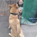 식사도서관 시청각실 | 여전 초과학기를 하다?!(12.14-17)