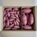 호풍미 고구마 내돈내산 후기! 호박고구마보다 더 달콤한 겨울 간식 (에어프라이어 시간 &amp; 꿀팁)