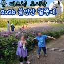 2026 불암산 철쭉제 노원 봄나들이 피크닉 후기 개화 상황