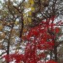 행주나루길 이미지