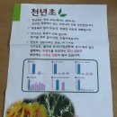 한진건강원 | [천년초즙] 천년사랑건강원 천년초엑기스 건강즙 및 한진택배 스미싱 문자 후기