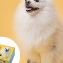 슈즈팩토리 이미지