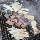 고기무한무료 에스티 이미지