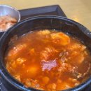 모레바 | 260315 바가용이 엄마가 된다니 .. (っ'-')╮=͟͟͞♡