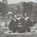 함백여중 이미지