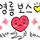 더비치핑크스