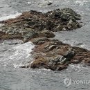 삶의모양 이미지