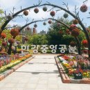 두리상회 | 장기역 맛집 (두리상회)