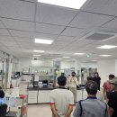 스테이늘
