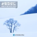 겨울방학 맞이 여행! 2017 겨울여행주간 소개 이미지