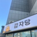 빵의 도시 대전에서 빵투어 뿌시기