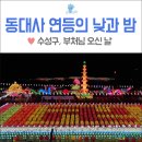 대구 동대사 고려불경 일괄 이미지