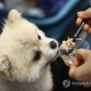 담은동물병원 이미지