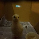 서율이네 이미지