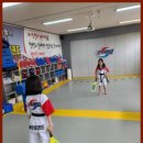 국가대표솔빛태권도장 | 동탄태권도 솔빛태권도장, 동탄의 빛나는 보석