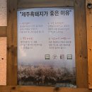 하남 미사 고깃집 &lt;광평도새기촌&gt;에서 흑돼지 먹은 후기