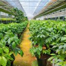 희정농장 이미지