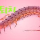 별장모텔 이미지