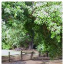 혜림복지재단 이미지