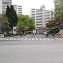 안양-안양-안양-503 네이버블로그