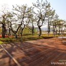 부산시민공원 이미지