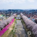 금산천 이미지