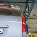 콩이카센타 이미지