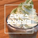 ‘스타벅스 안산삼성점’ 에서 슈크림 말차라떼 먹어본 후기 (+꿀팁 방출)