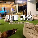토배기산장 | 전주 근교 드라이브 데이트추천 완주 대형감성카페 카페라온 베이커리 저수지 뷰