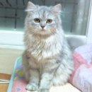 농심가마트 이미지
