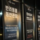 영화자동차서비스 | 강아지와 영화관 데이트! 양산 영화공장 애견동반 '왕과 사는 남자' 관람 명당 &amp; 내돈내산 꿀팁