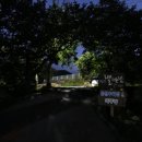 곰골스카이 이미지