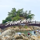 주차07 | 강원도 삼척 장호항 스노클링 명소 후기｜준비물, 주차, 대여 가격까지 총정리 (2026년07월 여름)