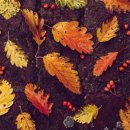 강남헬스사우나 이미지