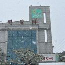 푸른지대떡갈비 이미지