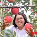 한규섭농장 이미지