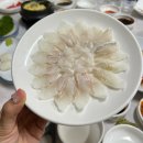 부산갈매기 횟집 | 부산여행 광안리 어방축제 후 현지인맛집 삼천포횟집