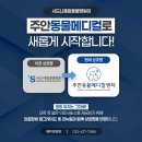 시드니종합동물병원 | [병원 소식] 시드니종합동물병원이 ‘주안동물메디컬’로 새롭게 시작합니다!